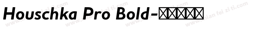 Houschka Pro Bold字体转换